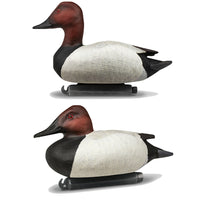DOA Refuge Canvasback Decoys Foam Filled
